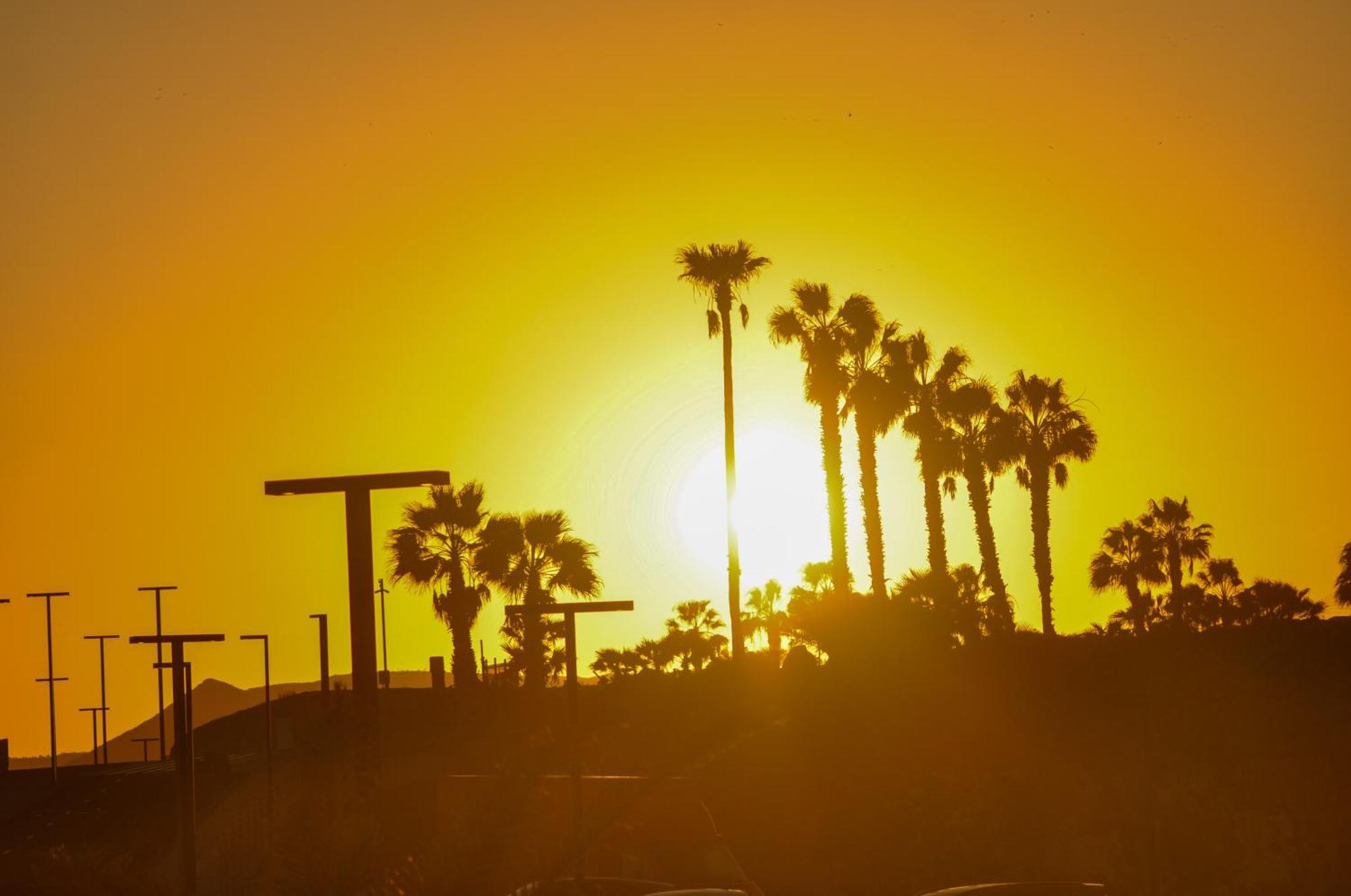 サンミゲル・デ・アボナThe Palms Golf Del Sur - Casa Andromedaアパートメント エクステリア 写真